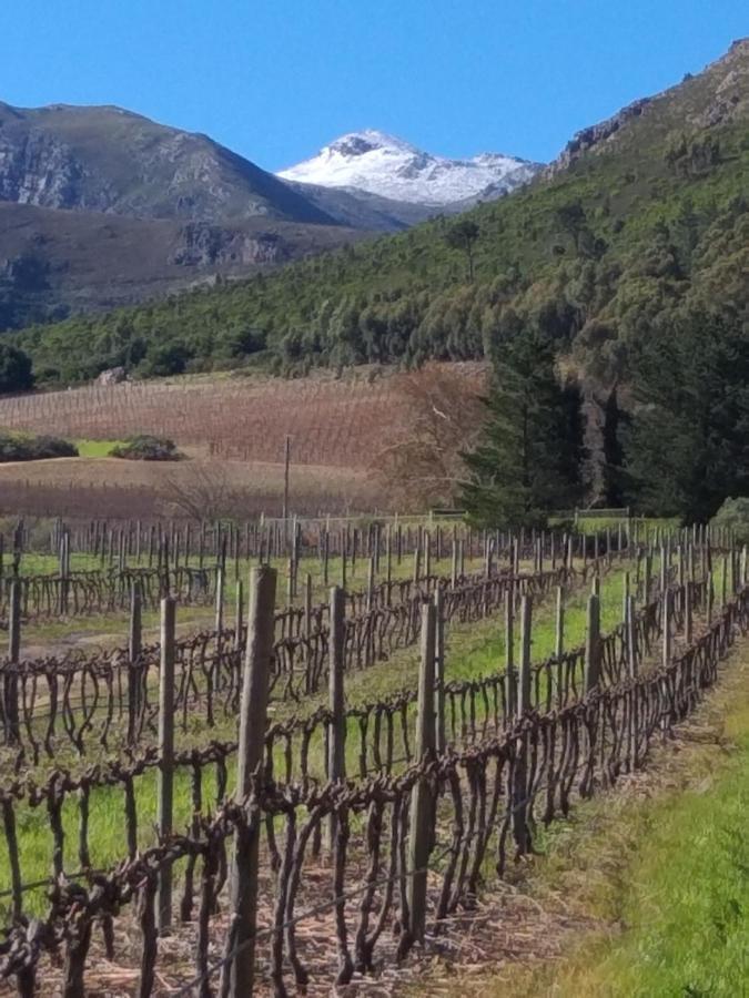 L'Auberge Chanteclair Franschhoek Bagian luar foto