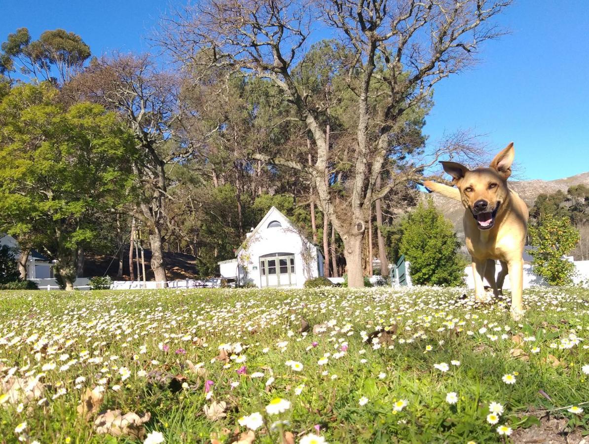 L'Auberge Chanteclair Franschhoek Bagian luar foto